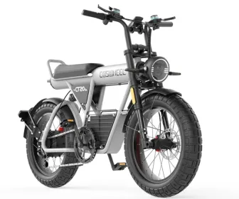 Off-road e-bike Equipped with super motor 1500W