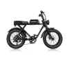 Vintage Fashion All-Road Fat Tire Electric Bike R1 Black